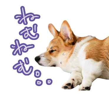 LINEスタンプ画像お作りします ご家族やペットのお写真をオリジナルのLINEスタンプに！ イメージ6