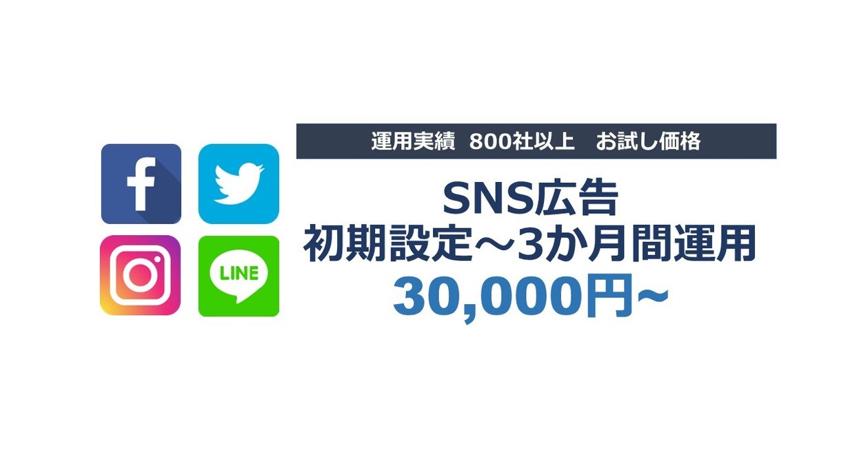 SNS広告全般の設定～3カ月運用します Facebook、インスタ、Twitter、LINE広告 イメージ1