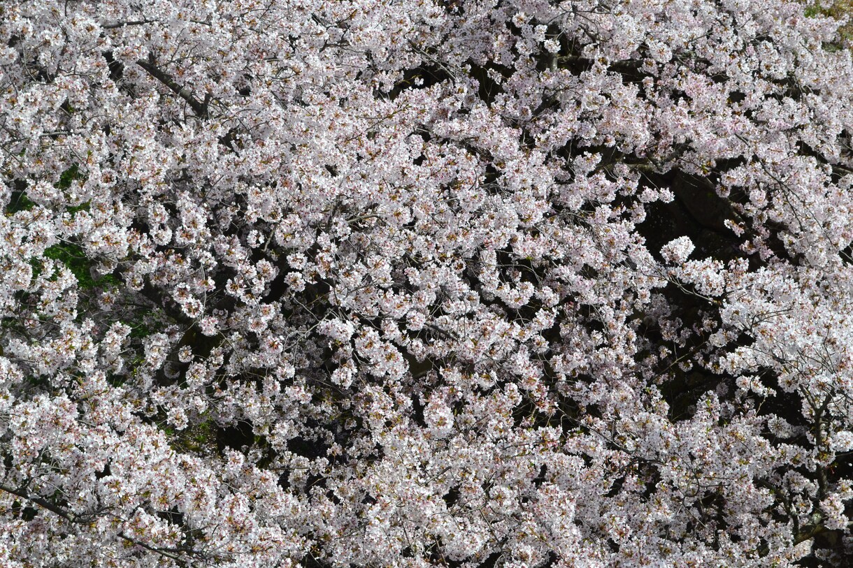 写真を印刷して販売、またはデータ販売します 幻想的、抽象的、アート写真、独創、個性、 イメージ3
