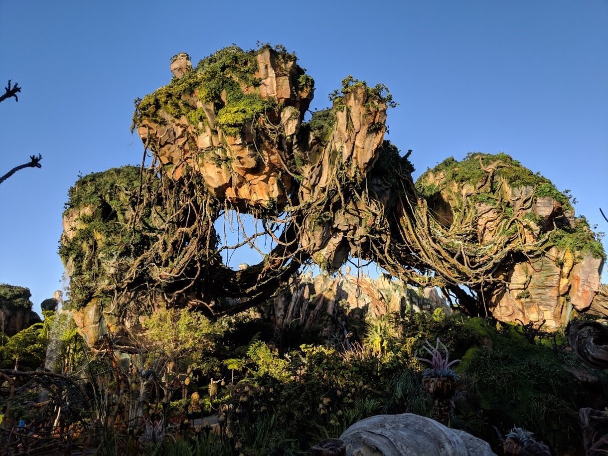 フロリダディズニーについて教えます 行ったことのない方は是非!私の経験からお話致します。 イメージ1