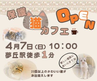 バナーやチラシ制作承ります あなたの思いが伝わるものをご提案いたします イメージ7