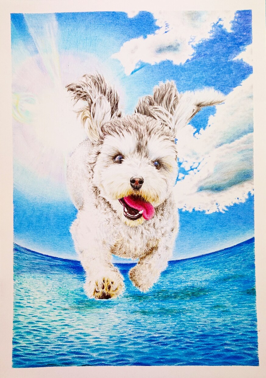 色鉛筆でリアルなペットの絵をお描きいたします リアルで力強く、かつ優しいペットの絵の原画をお送り致します。 イメージ2