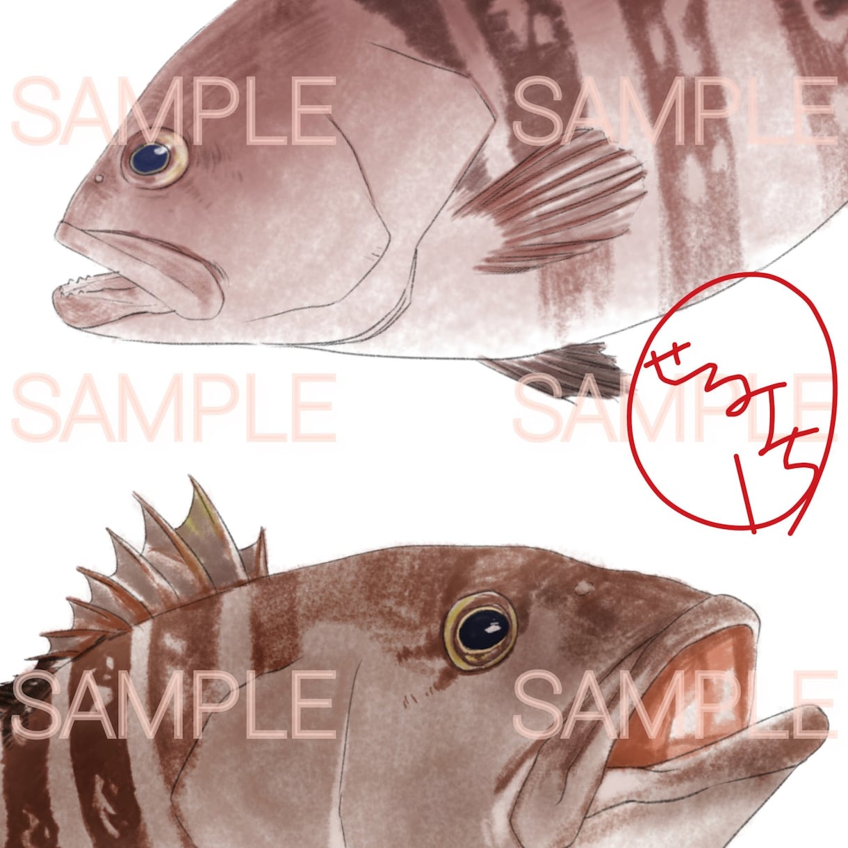 あなたの好きなこだわりの魚イラストお描きします 田舎で釣りばかりしていたから描ける魚イラストお描きします。 イメージ8