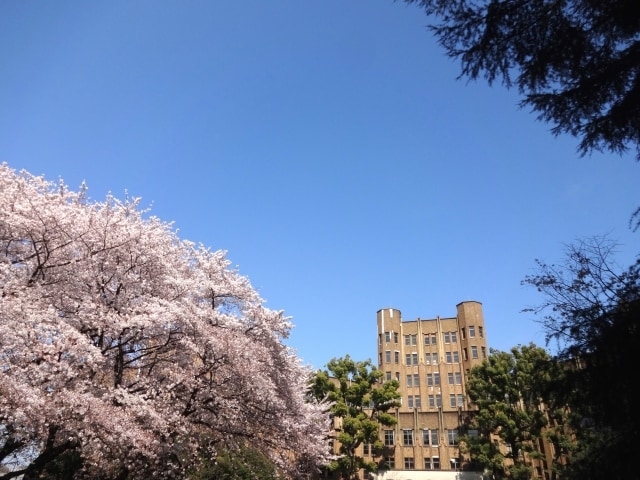 大学受験生のTOEIC640点獲得をお手伝いします たった３時間でTOEIC６４０点をとる方法がわかります イメージ1