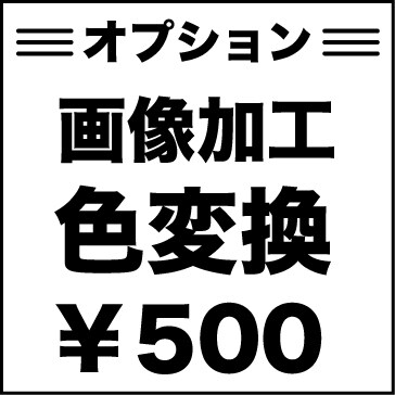 名刺をロゴから作成します お得な複数デザインパックです。見やすくて印象に残るデザインを イメージ4