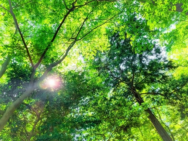 心の病、精神薬の断薬、人間関係など相談を承ります ただなんとなく話を聞いてほしい方もぜひ気軽にメッセージを！ イメージ3