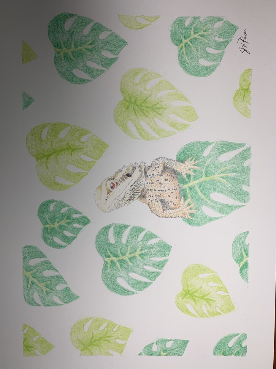 愛するペットのイラストを描きます いただいたペットの写真を基に色鉛筆にてイラストを描きます。 イメージ5