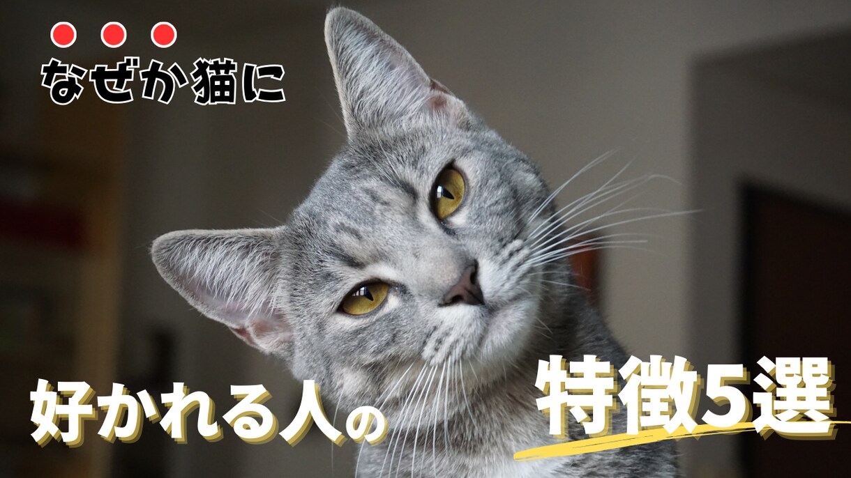 YouTubeの猫サムネイルを格安で作成ます 格安・クリック率UP・素早い！猫専門サムネイルデザイン イメージ5