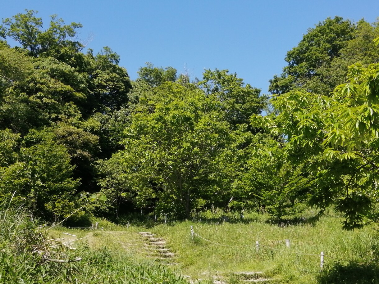 人間関係、仕事、介護の悩みなど聴かせて頂きます 癒やし系とよく言われます。話して少しずつすっきりしましょう イメージ1