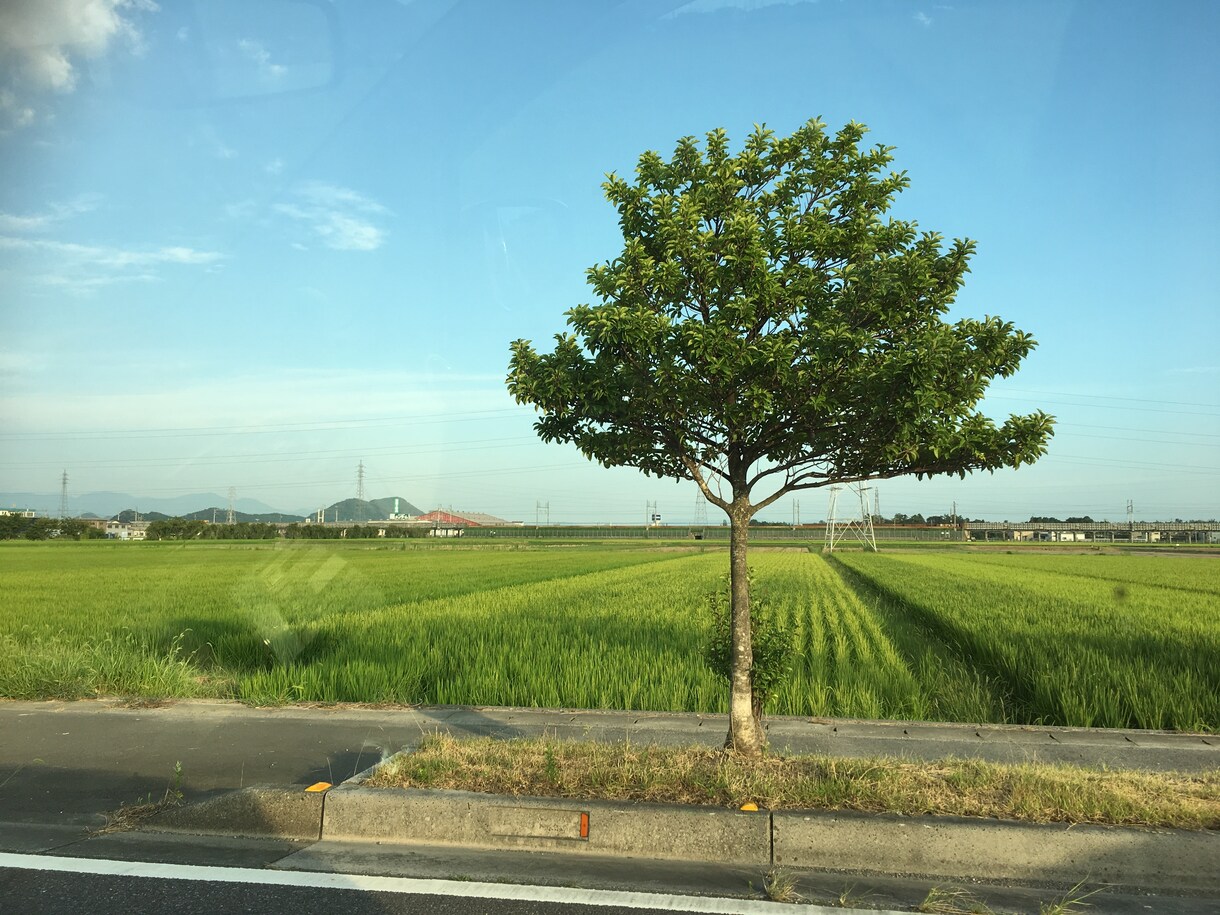 配偶者と別居したい方相談に乗ります あなたの第二の人生応援します。輝く人生を送りたい方のために。 イメージ1