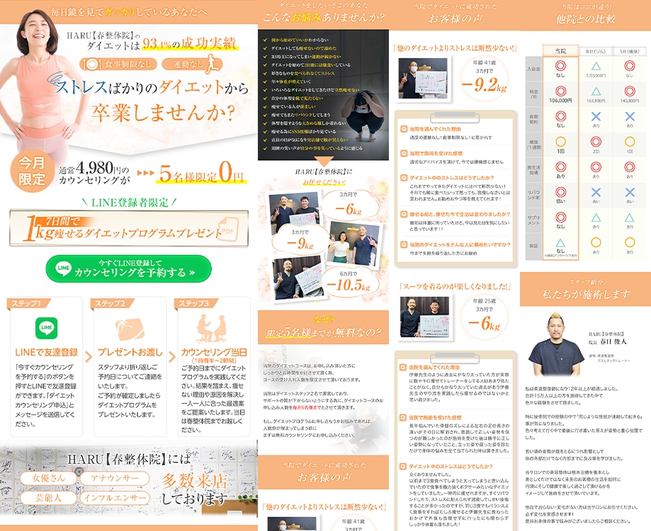BtoC特化！行動心理学を駆使したLPを作成します ～長さ無制限！ライティングシート＆WEB解析１回プレゼント～ イメージ8
