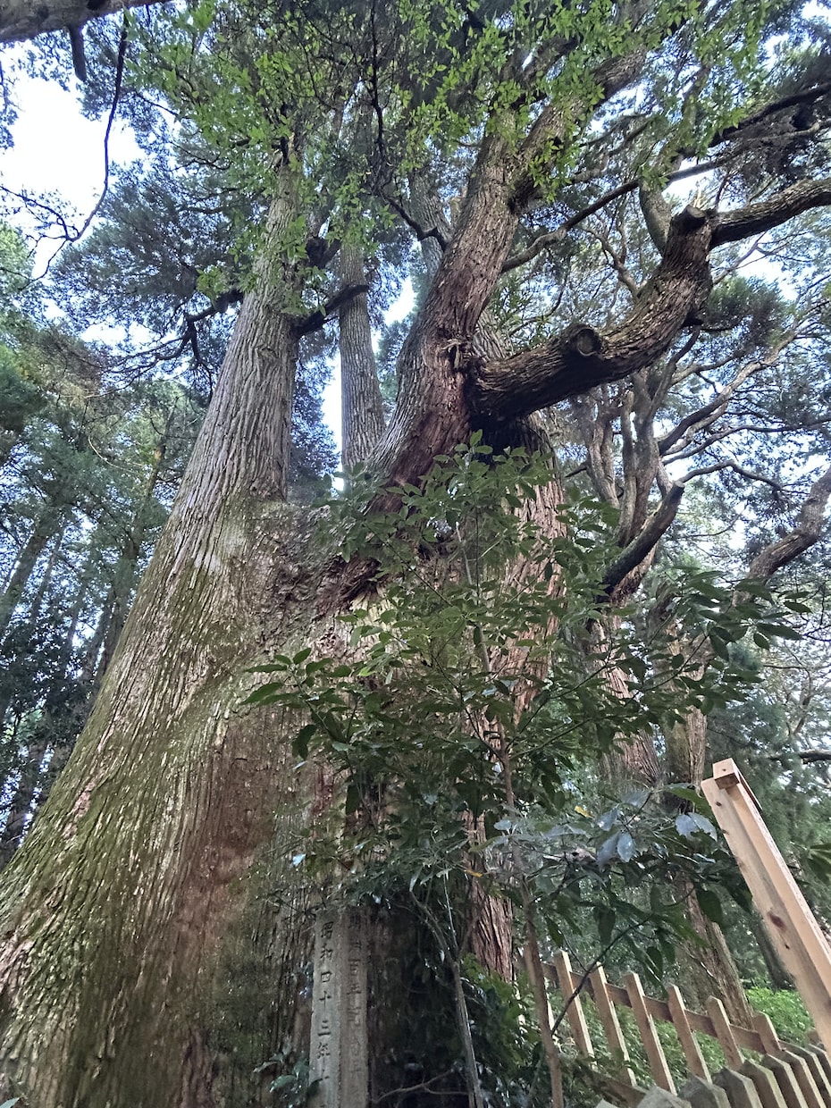 MIUカバラ数秘術で天命 使命 好転手段を導きます 誰も教えなかった 本当のじぶんを知り人生創造できる出発点 イメージ2