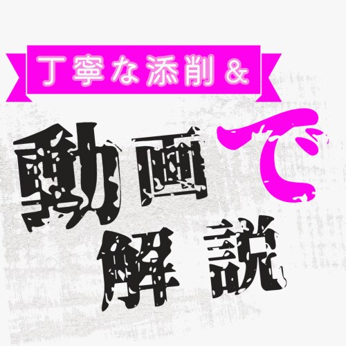 動画で解説！頂いた文章を丁寧に読解・添削致します まずはサンプル動画にて私の能力をご確認の上、ご相談ください。 イメージ1