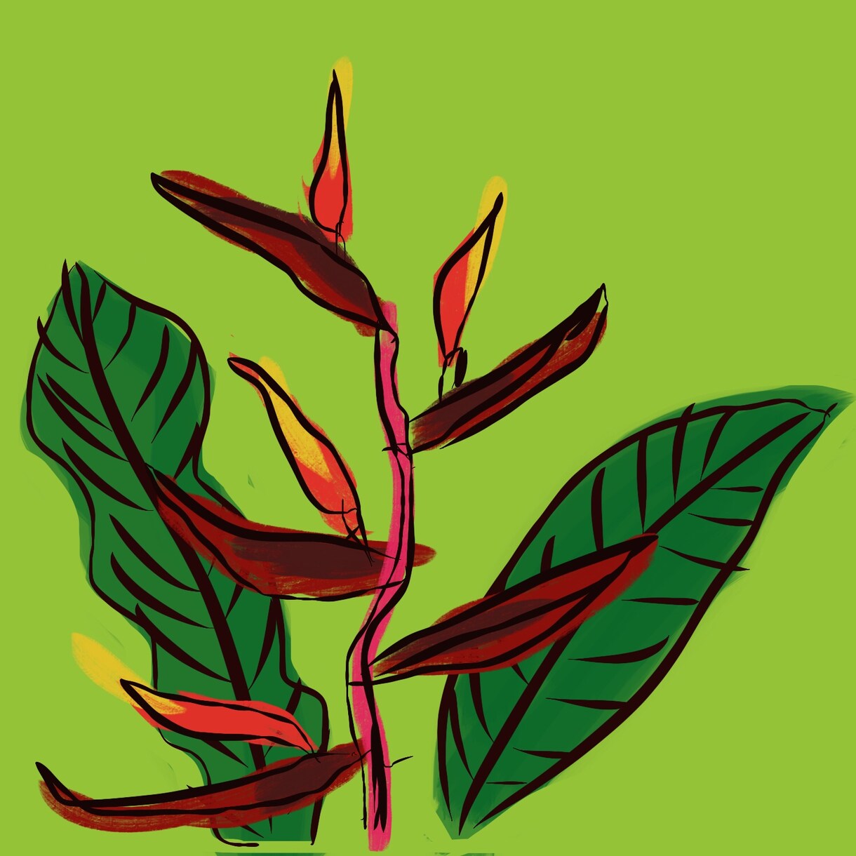 手書きの生命力あふれる植物イラストを描きます 絵本、チラシなどにいかがでしょうか。 イメージ3