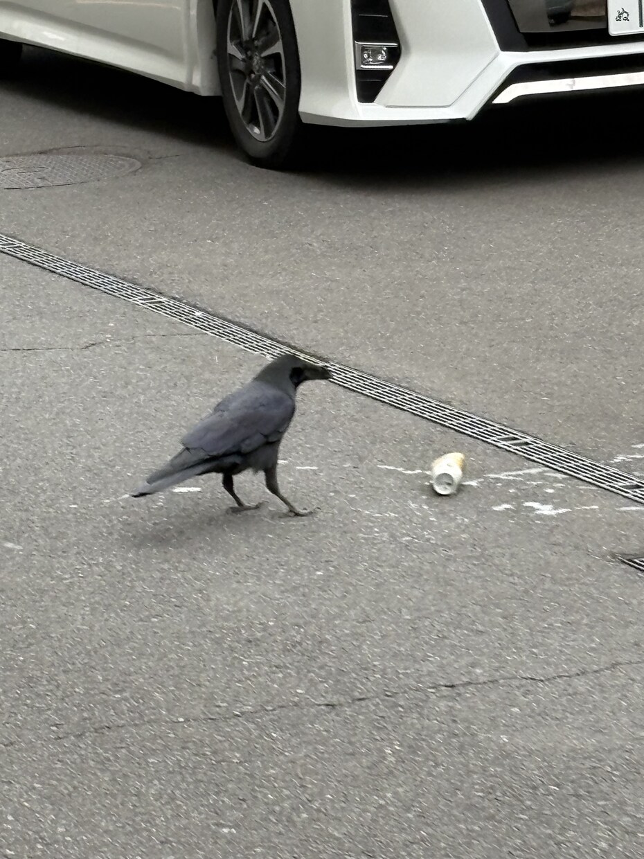 ミックス、マスタリングします ミックス マスタリング ピッチ補正等込み イメージ1