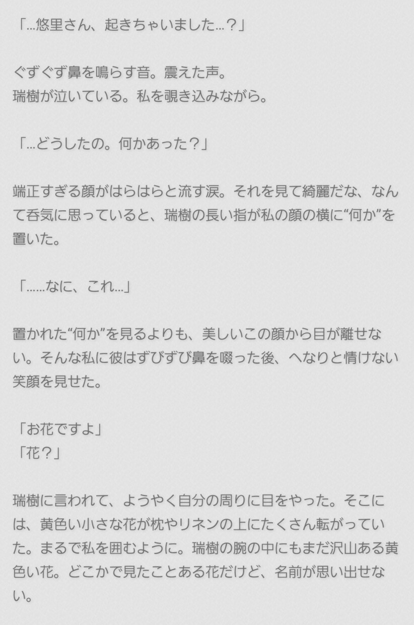 即日可能！短編小説書きます 5000字以内であなたの好きを小説にします イメージ4