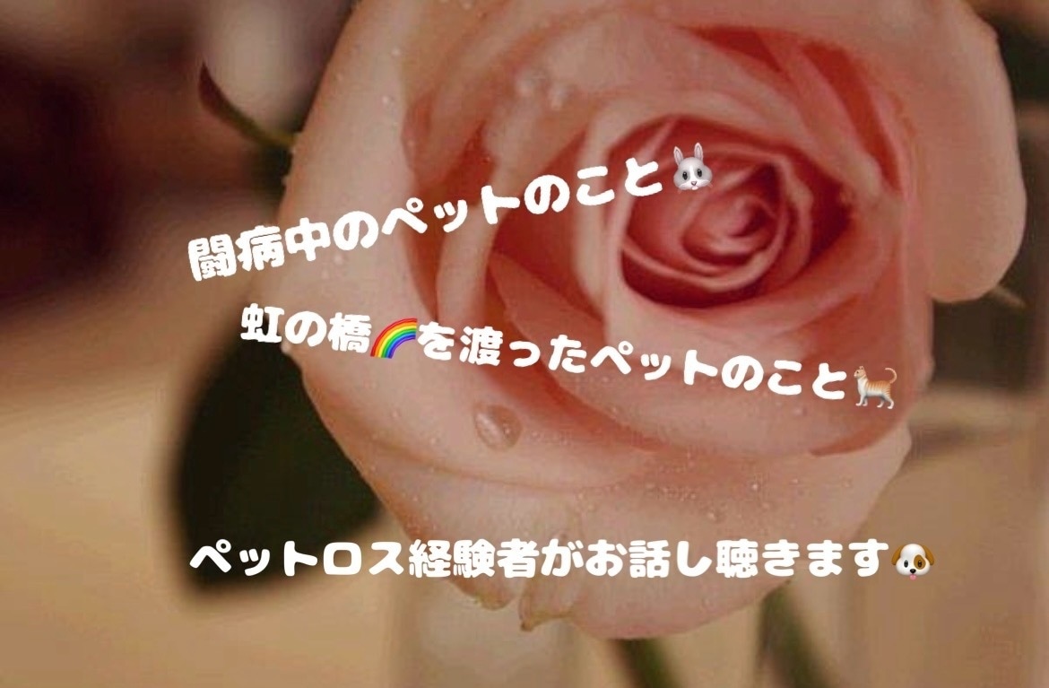 度々ペットを失った経験者が貴方の心に寄り添います 大切なペットの病気や喪失の悲しみ、何でも打ち明けて下さい❤️ イメージ1