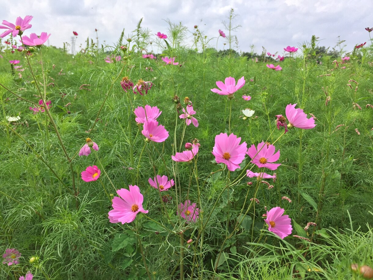 あなたのお悩みを一緒に解決します 自信を持ってキラキラ輝くあなたが私の幸せです イメージ1