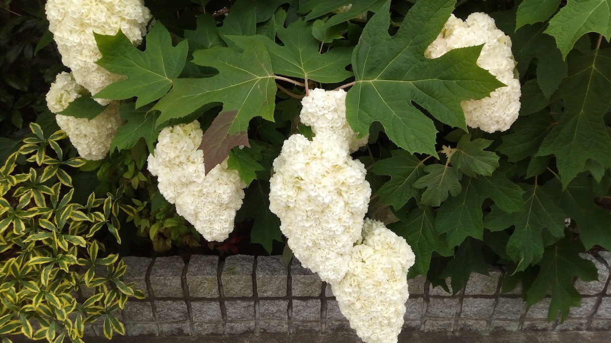 うつ病の転職活動を天職活動に応援致します 退職・休職中の方、または就業している方の相談にのります。 イメージ1