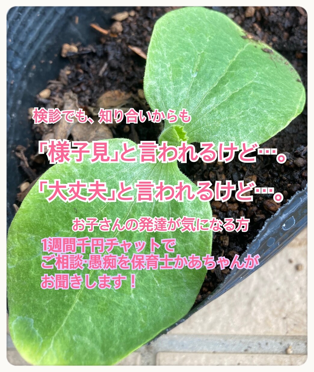 保育士、子育てかぁちゃんが話を聞きます 検診では「様子見」「大丈夫」と言われるけどそんな不安聞きます イメージ1