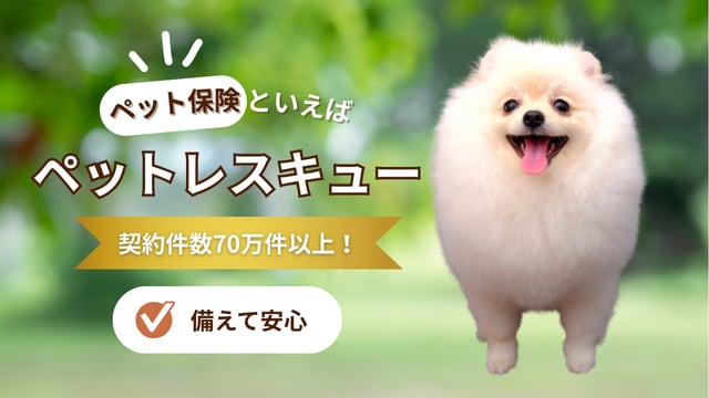 元営業職のデザイナーが、訴求バナーを作成します 短納期可能！修正回数無制限！営業視点で伝わるデザインを提案 イメージ2