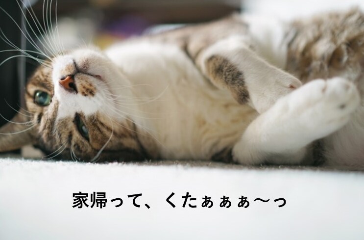 女性限定☆日常のお悩み伺います 人に話すことでびっくりするほど心が軽くなります♪ イメージ2