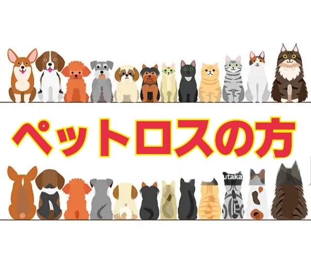 ペットロスに悩んでいる方、相談にのります １日～２日かけたやり取りをし、ロスの飼い主さんに寄り添います イメージ1
