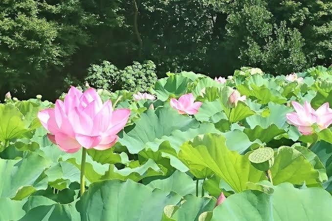 貴方の不安を無くします お願いします。1人で悩まないで下さい。 イメージ5