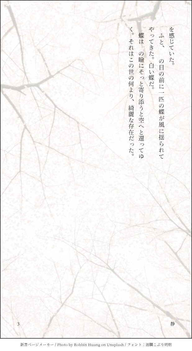 あなたの形、叶えます あなたの夢・読みたい作品叶えます！ イメージ3