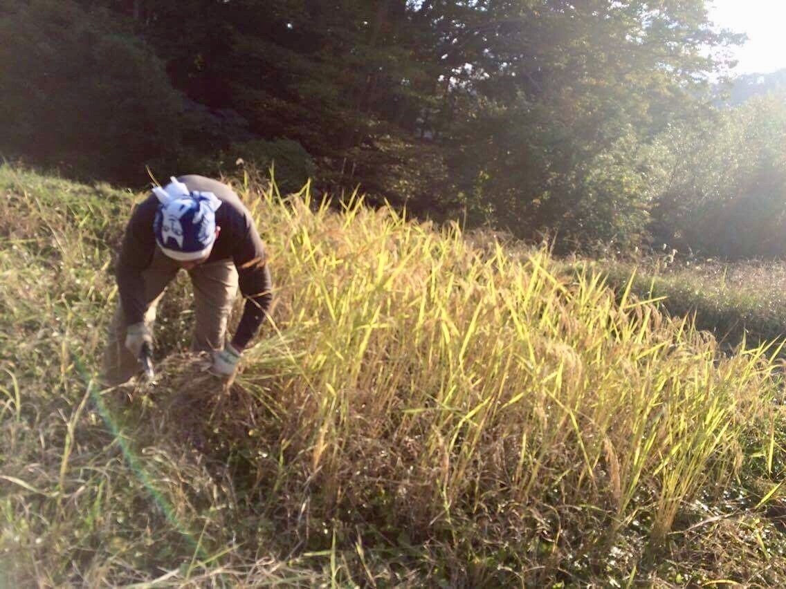 これから田舎暮らしをしたい方にアドバイスします 田舎暮らしに興味があり、情報を得ておきたい方へ。 イメージ3
