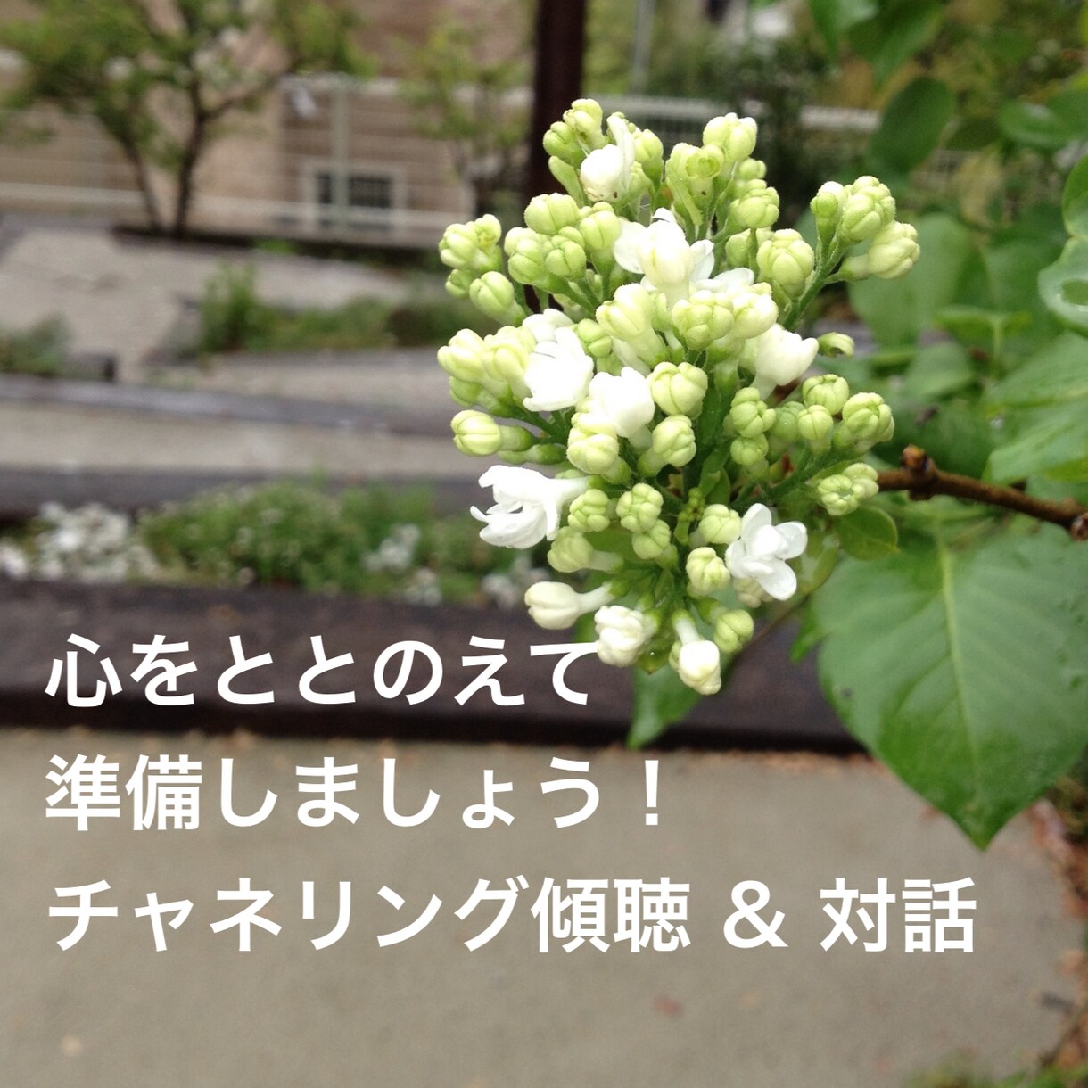 心に溜まった黒いものの断捨離をサポートします 心にも断捨離が必要！宇宙のひらめきを受け取れるスペース確保！ イメージ6