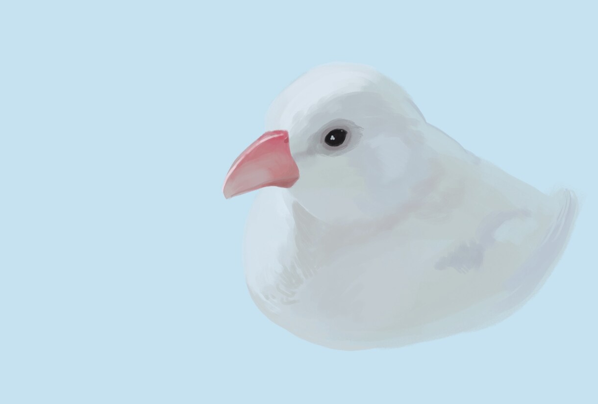色彩豊かでリアル寄りのイラストお届けします SNSアイコンやヘッダー等を主に制作致します イメージ6