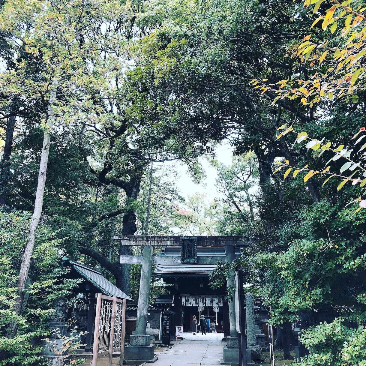 霊感霊視想念伝達致します 恋愛、不倫、複雑な恋愛、一途な想い、お相手の気持ち伝えます イメージ1