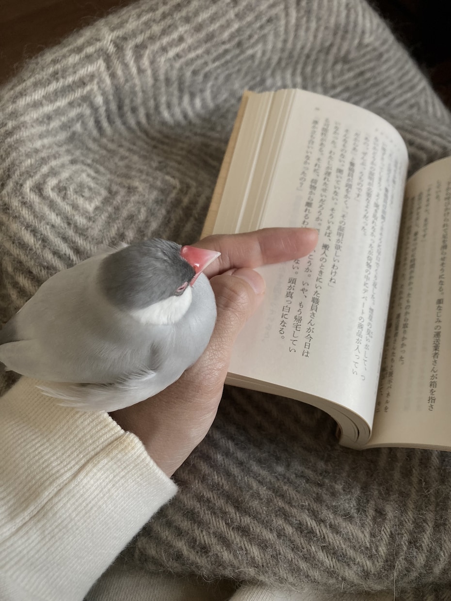 カフェ店員がまったりお話し聞きます 今日の出来事、日々の愚痴まったりお話ししましょう イメージ1