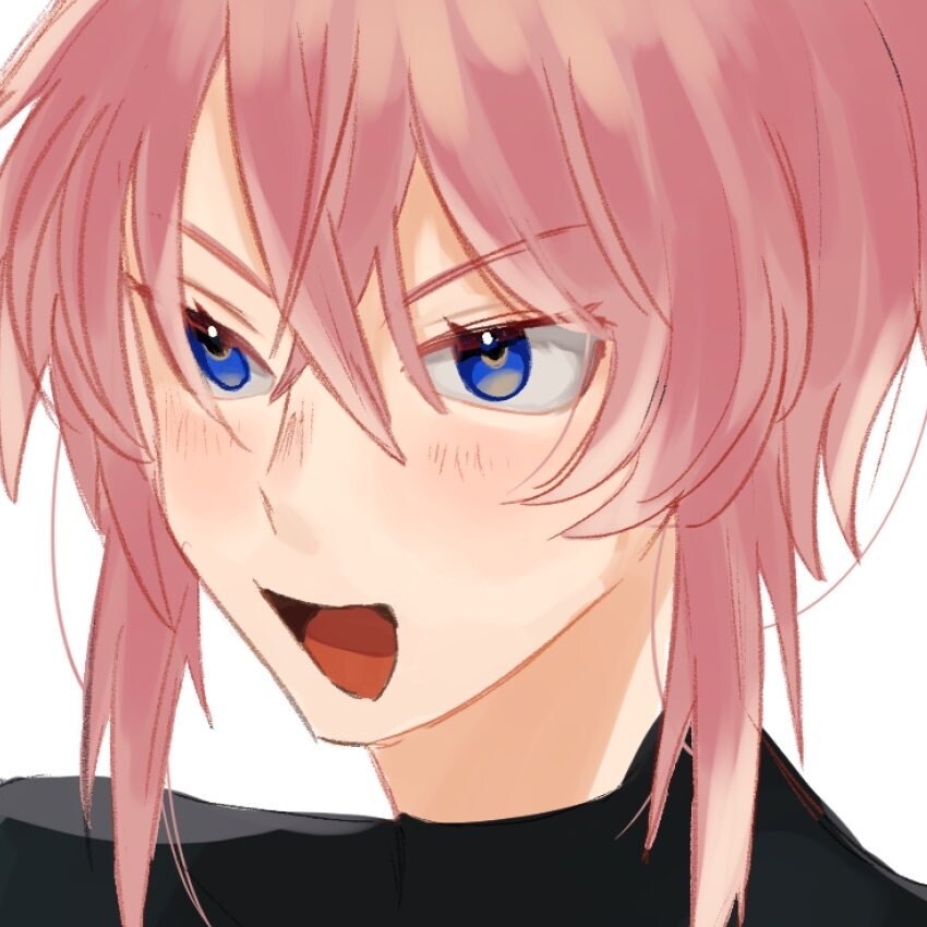 一律2000円！駆け出し絵描き！イラスト承ります 幅広いジャンルのイラストのご依頼お受けいたします！ イメージ2