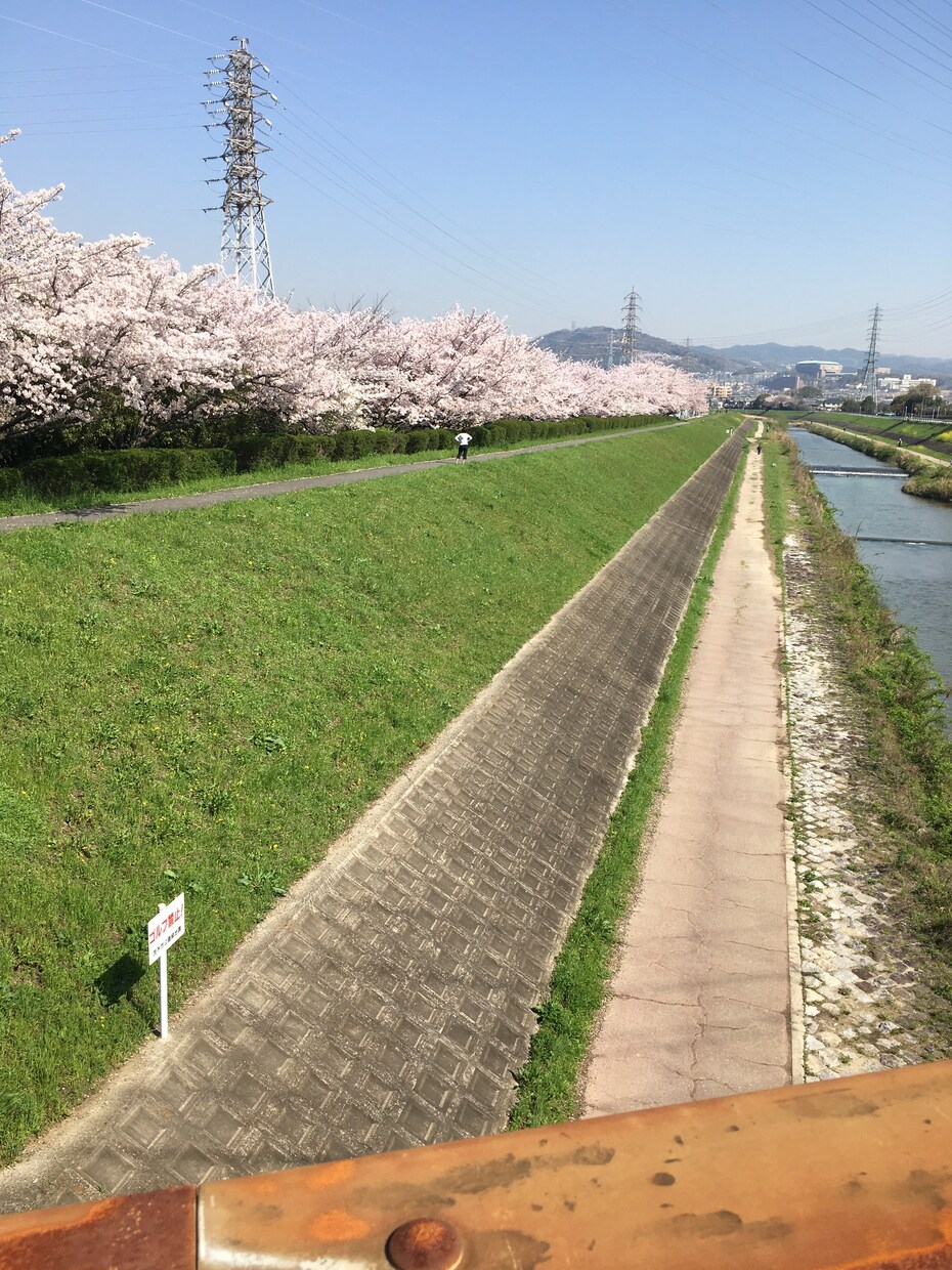 仕事や恋愛、人生の愚痴聞きます ストレスを溜め込んでいる方や悩みを抱えている方向け イメージ1