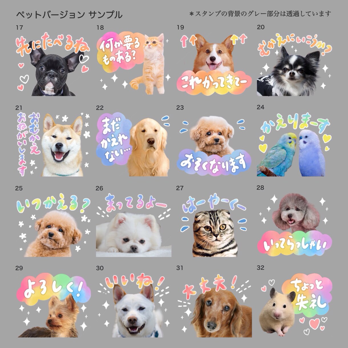 ペットのお写真でカラフルなLINEスタンプ作ります 犬、猫、エキゾチックアニマル、どんな種類でも大歓迎！ イメージ5