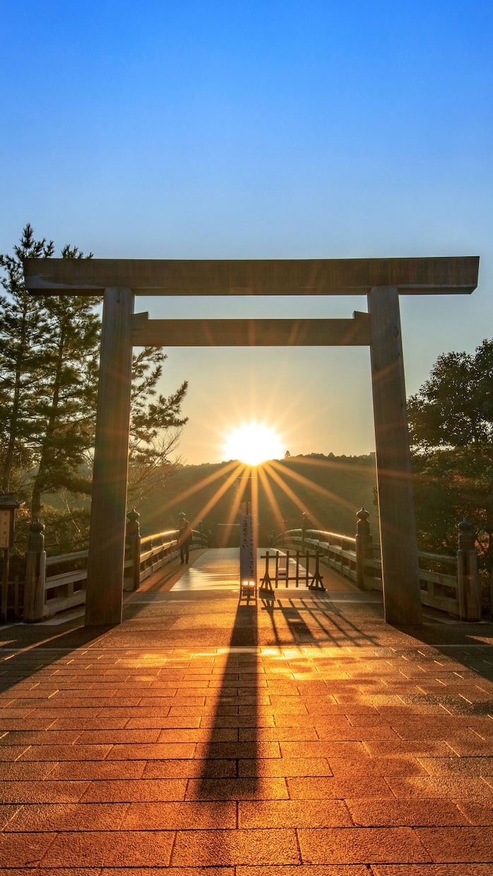 写真だけOK｜あなたの運勢を手相で丁寧に鑑定します あなたの運勢を手相から読み解きます イメージ1