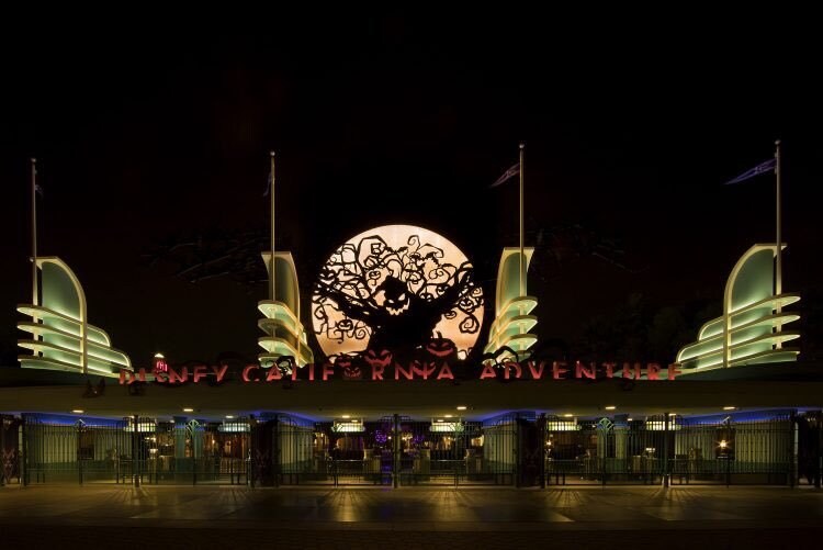 カリフォルニアディズニー旅行をサポートします オススメの遊び方や、便利なサービスを紹介します！ イメージ3