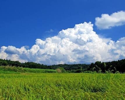 タロットで占います 別れたお相手と復縁したいけど可能性はあるの？ イメージ2