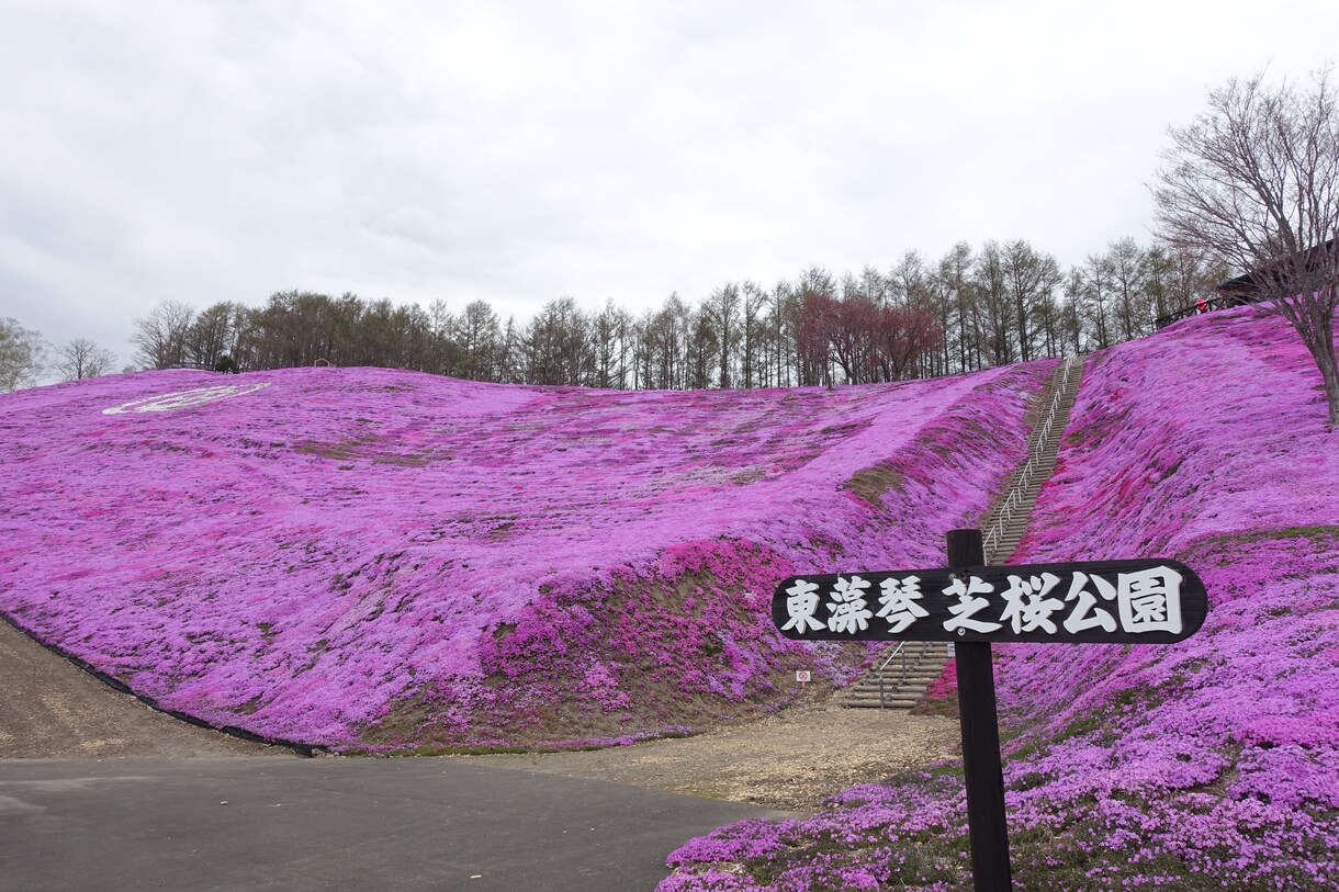 北海道の行きたいところへ、代わりに行きます 自由に旅行がしにくい昨今、あなたに代わって北海道を旅行します イメージ7