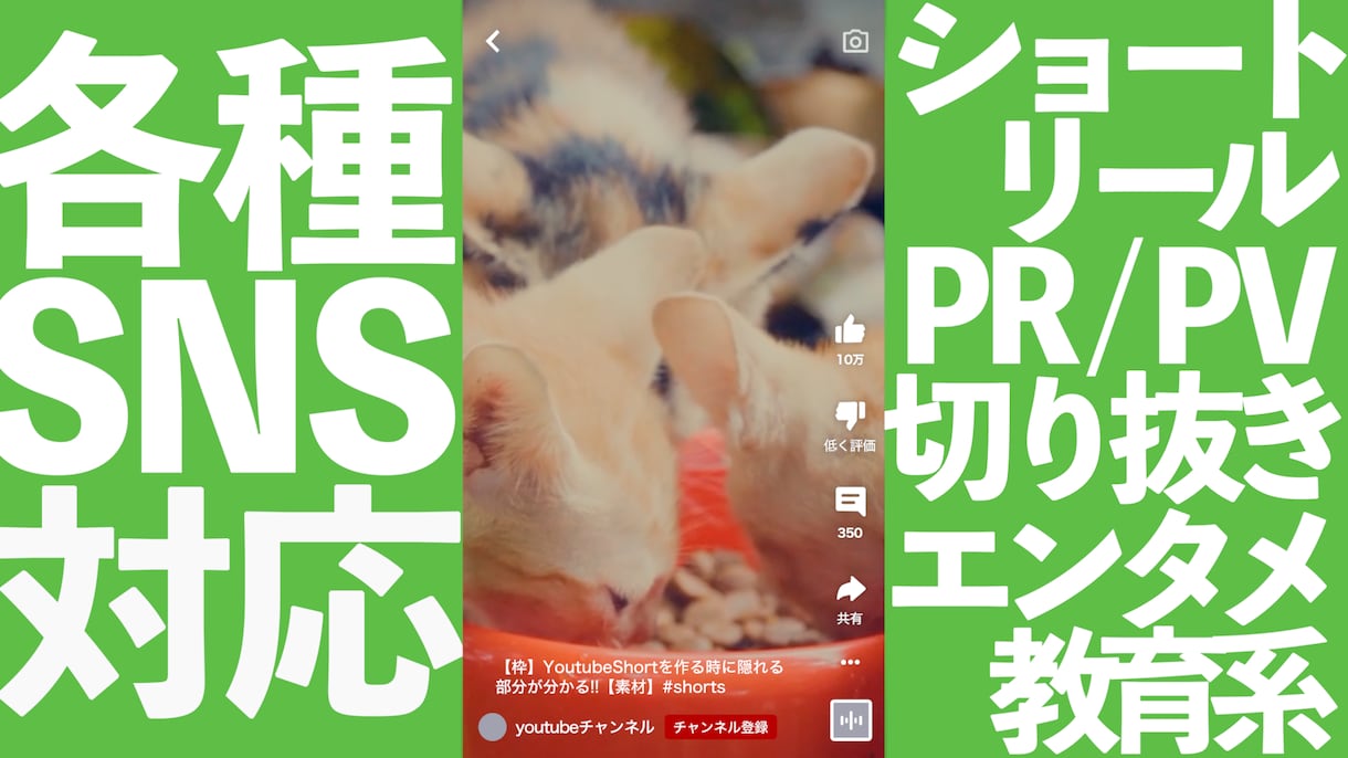 視聴者を1秒も飽きさせない映像を制作します SNSが伸びず悩んでいる方、ご相談ください イメージ10