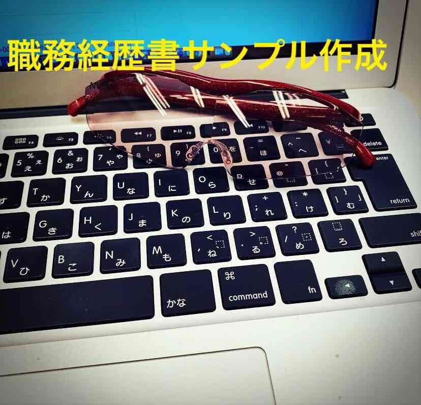 職務経歴書の見本を作成致します 転職をお考えの方に合わせて職務経歴書の見本となるサンプル作成 イメージ1