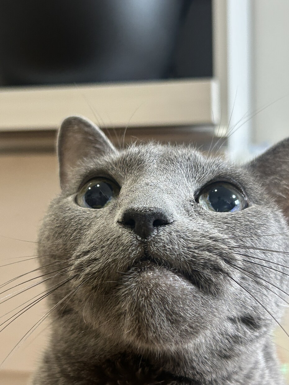 話したい方のお話聞きます 否定は一切しませんし口外もしませんのでお気軽に。 イメージ1