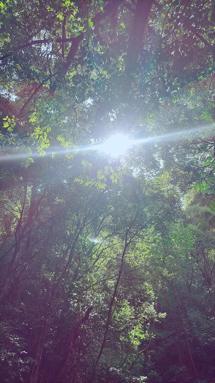 現役オペ看・INFJがあなたの心のモヤモヤ聴きます あなたの心の安全基地に。否定せずテキストで丁寧に聴きます。 イメージ4
