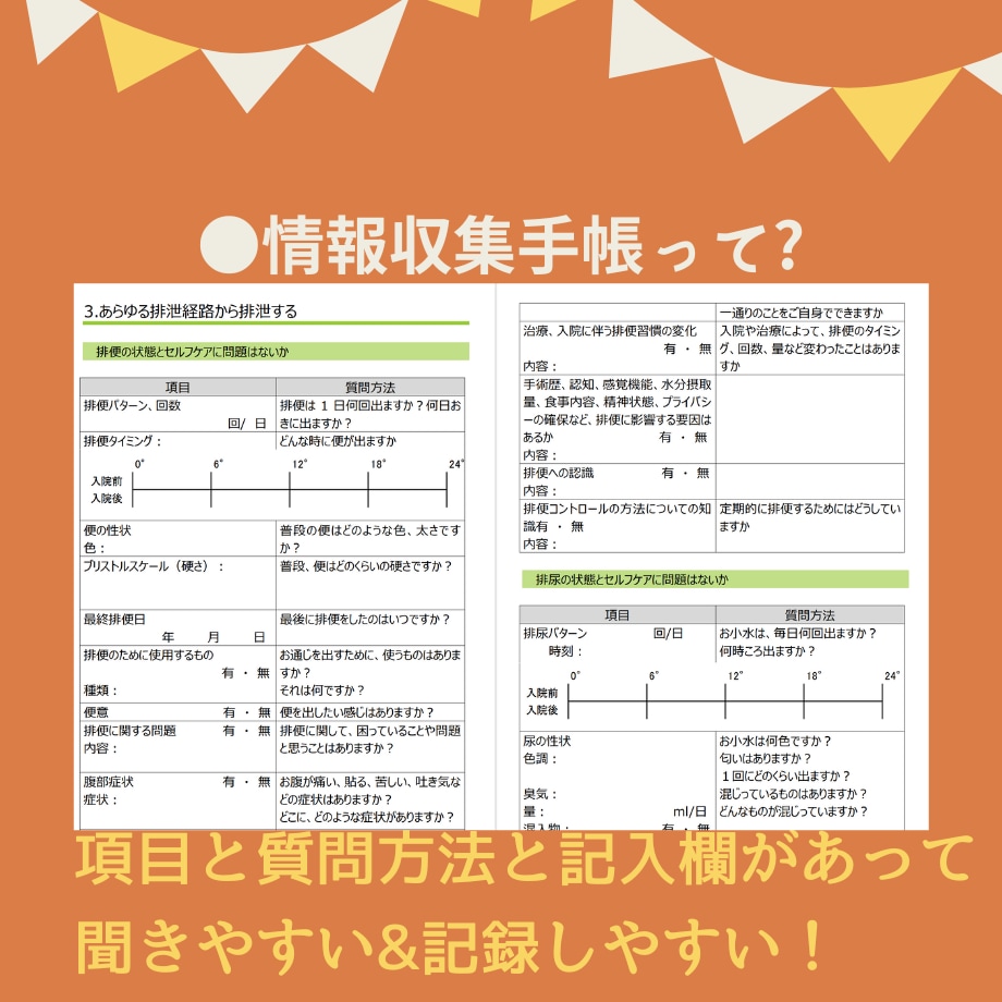 過去の看護実習記録★テンプレ★いろいろ教えますます 【すらすらパック】目標★関連図★周術期メモもあります♪ イメージ3