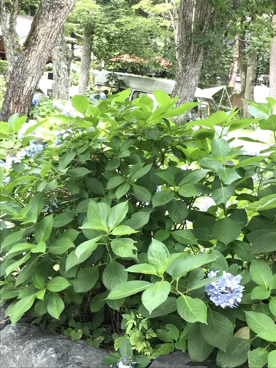 ナース限定！看護師歴41年の姉さんが悩み聞きます 忙しさも、イライラも、全部吐き出してすっきりしましょう イメージ5