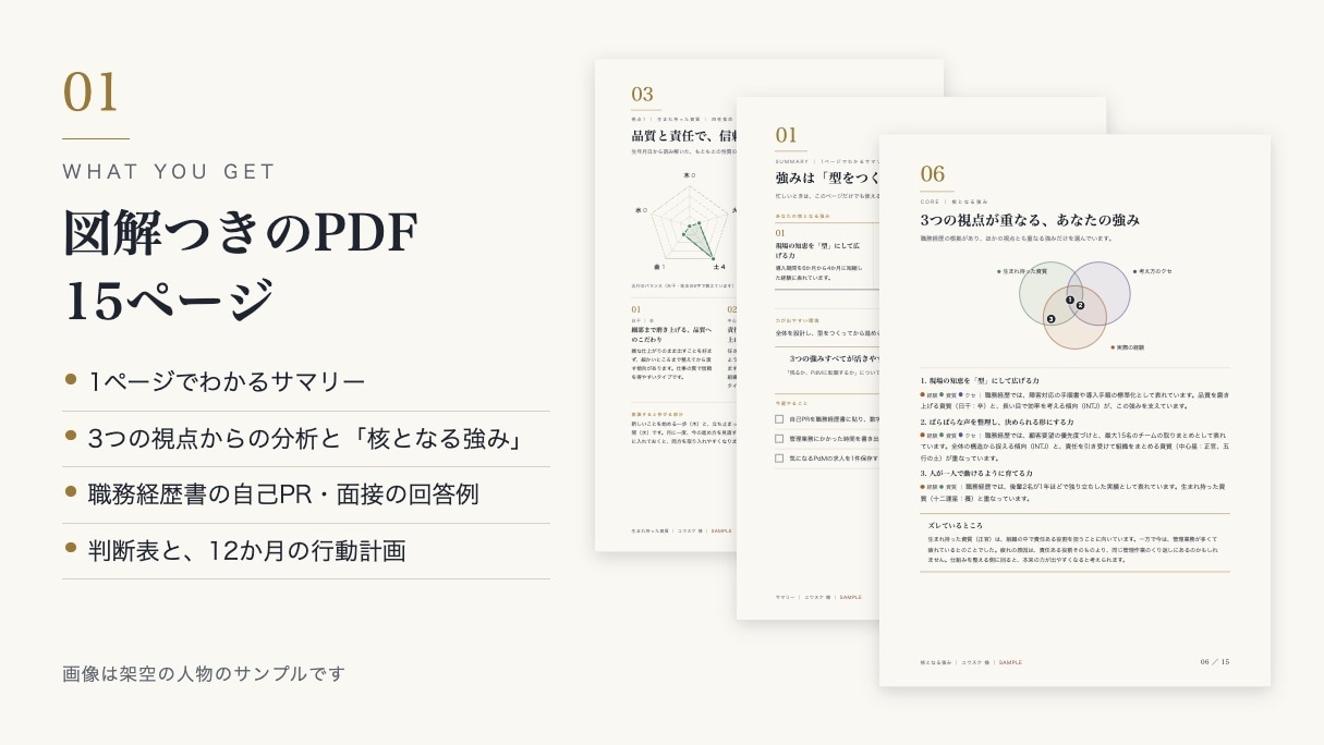 職務経歴×四柱推命×MBTIで強みを可視化します ストレングス・インサイト｜3つの視点で可視化するあなたの強み イメージ2