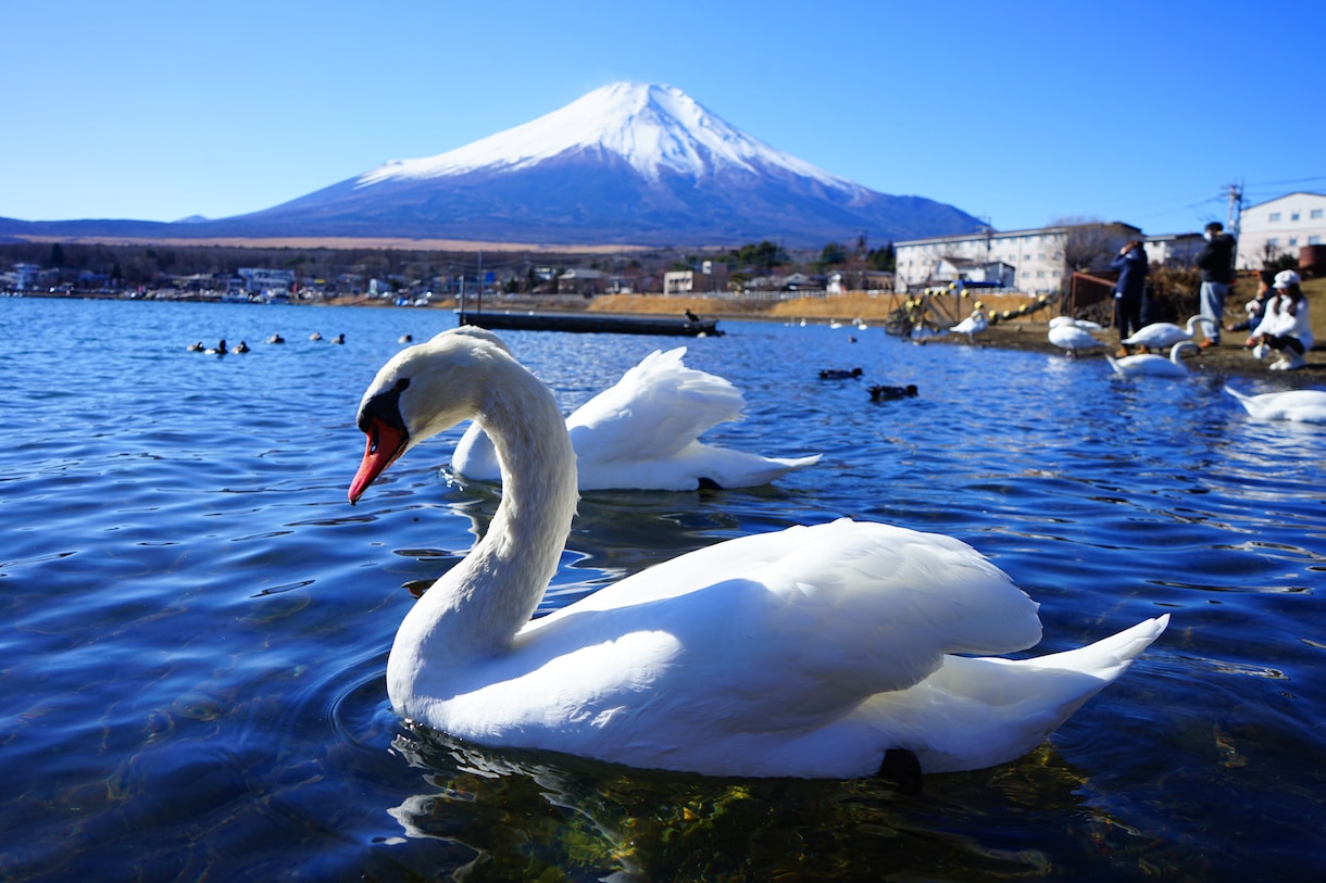 色々な場所の風景や物の写真撮影を代行します 駆け出しのカメラマンですがどうぞよろしくお願い致します、 イメージ7