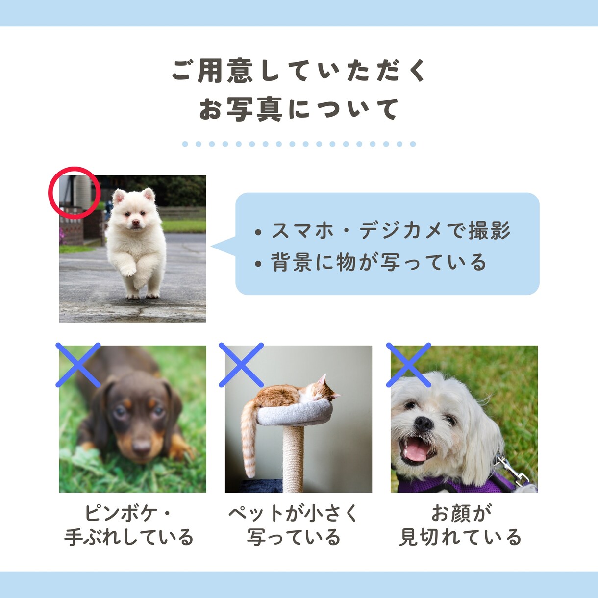 世界にひとつだけの「うちの子マグカップ」つくります 名前入り×写真3枚で作る世界でひとつのマグ イメージ5